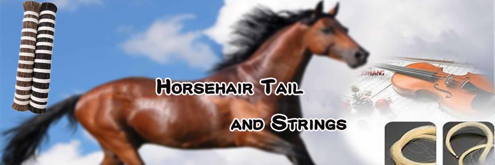 Qualität Pferdehaar-Mane-Erweiterungen usine